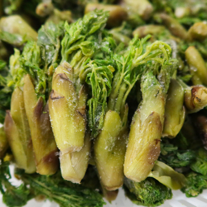 甘肃直销山野菜刺嫩芽 乌龙头东北刺老芽当季新鲜速冻蔬菜260g/袋