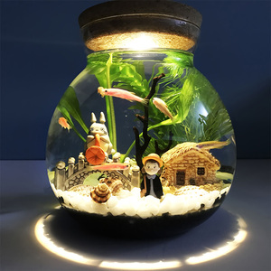 创意玻璃许愿瓶摆件海洋灯光微景观生态瓶生日礼物盆栽植物水族