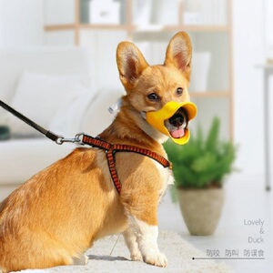 狗狗止吠器防咬叫乱吃可喝水小型宠物泰迪口罩狗罩小狗防舔狗嘴套