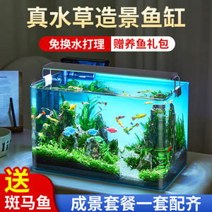 鱼缸水族箱客厅小型迷你桌面免换水生态造景小金鱼缸热弯超白玻璃