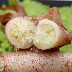 全籽海兔籽乌笔管鱼新鲜熟冻满籽籽乌小海鲜海兔子小乌贼纯籽籽乌