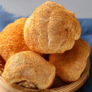 蒙良绿泰源 深山四宝礼盒猴头菇黑木耳山野菜野山蘑山珍东北特产