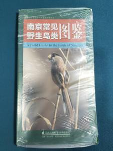 南京常见野生鸟类图鉴 /常青 江苏凤凰科学技术出版社 9787553762