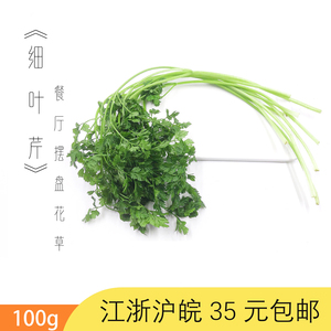 细叶芹 法国小香芹 西餐配菜香料 会所私房菜冷菜点缀菜 摆盘花草