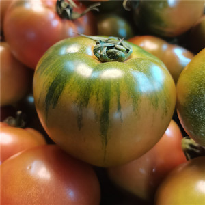 东北特产碱地铁皮西红柿绿底小番茄口感脆柿子应季水果柿子即食