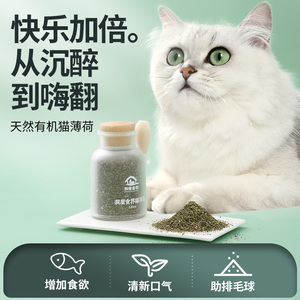 猫薄荷粉球猫咪草化毛零食用饮水营养猫薄荷茶捕养猫宠物玩具用品