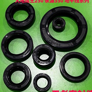 大地鹰王永源250 350小忍者摩托车超越离合器曲轴 副轴发动机油封