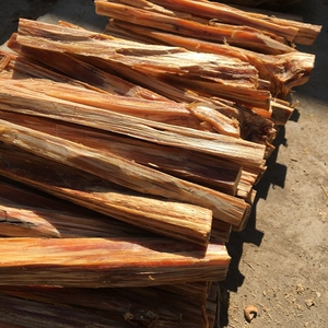 松明子引火条原木松油火种松木点碳神器防风家用点火器油柴柴火子