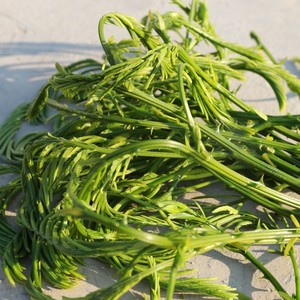 【帕哈菜】帕哈菜品牌,价格 - 阿里巴巴