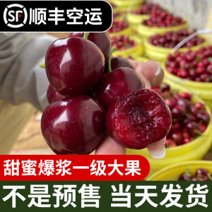 3j车厘子水果新鲜当季整箱包邮山东烟台大樱桃10斤装5国产非智利
