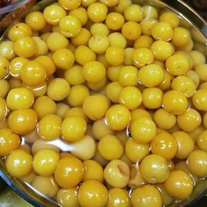 三月李新鲜酸甜爽脆青李子梅汁甘草水果潮汕拖李当季孕妇腌制一斤