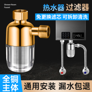 热水器前置过滤器家用自来水进水净水防电除垢燃气壁挂炉电净水器