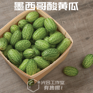 墨西哥酸黄瓜*美洲种子柑橘味迷你西瓜高产盆栽阳台园艺3粒光合家