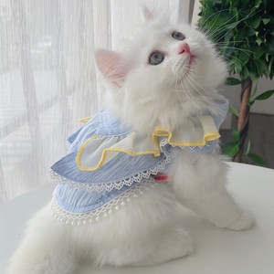 猫咪衣服夏季薄款猫防掉毛布偶猫幼猫裙子夏宠物猫猫夏天小猫背心