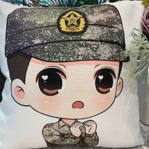 兵哥抱枕