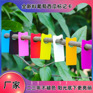 全新料葡萄记号牌/西瓜标记卡/葡萄标记卡/瓜果标记牌/彩色分批牌