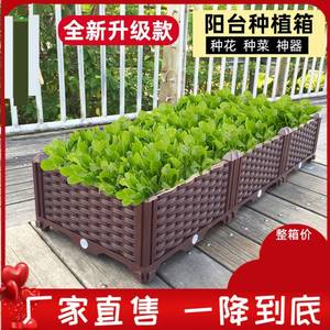 盒子种菜盆蔬菜室内栅栏种花菜园子蔬菜架盆栽蓄水楼顶种植箱花盘