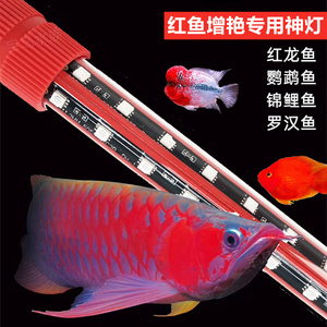 鱼缸增艳神灯红龙鱼专用灯增色仟鱼灯鹦鹉鱼锦鲤潜水防水led红灯