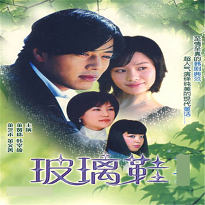 00tb3576812668淘宝韩剧 玻璃鞋 国语/韩语中字 电