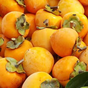 新品种早熟品种罗田甜柿树苗 自然脱涩脆柿子南方北方种植品种当