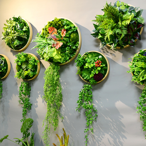 壁挂植物壁饰