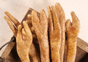 垆土铁棍5斤淮山药粉糯铁杆小白嘴正宗佛手山药