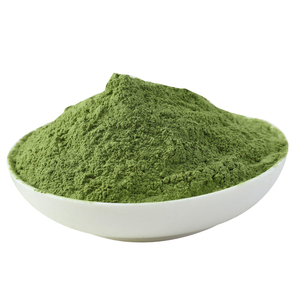 天然菠菜粉无添加水果蔬菜粉500g包邮果蔬粉绿色上色彩色菠菜面粉