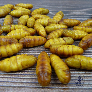 桑蚕蛹金丝蚕蛹茧蛹土沂蒙山特产高蛋白食物新鲜冷冻