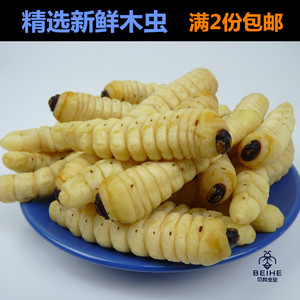 木虫柞木虫新鲜冷冻哈虫木花蛤虫高蛋白食用虫子500克