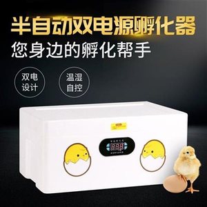 控卵箱繁殖箱大号卵化机s恒温器泡沫箱水床孵化器 家用型加热板