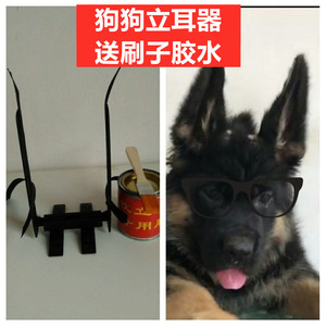 杜宾立耳器立耳棒立耳神器德牧辅助器茶杯犬幼犬狗狗耳朵泰迪熊