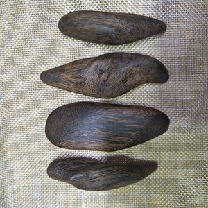 越南水沉香木原木