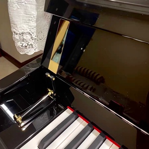 钢琴盖缓降器钢琴配件琴盖外置液压阻尼缓冲器儿童防夹手保护手指