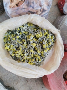 正宗清明草新鲜晒干鼠曲草清明菜绒毛鼠麴佛耳草干清明果