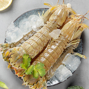 皮皮虾鲜活速冻濑尿虾螳螂虾冷冻海鲜水产品虾耙子整虾4斤装包邮