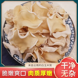 云南兔耳菌白木耳竹耳竹兔耳菌耳朵菌兔耳菇白玉木耳干货竹子菇3