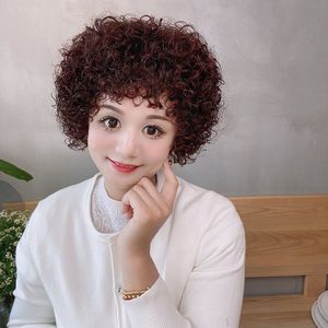 真发老年人卷发