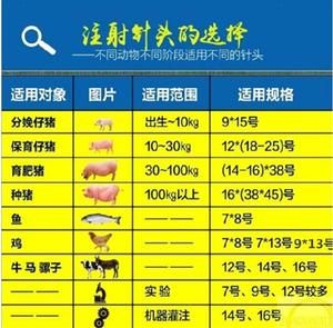 猪针头型号对应图片图片