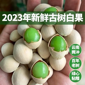 白果新鲜银杏果2023年新货云南腾冲银杏村古树老品种粘糯500g包邮