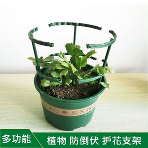 昙花专用支架室内园艺家用植物防倒蟹爪兰球兰花爬藤月季固定架
