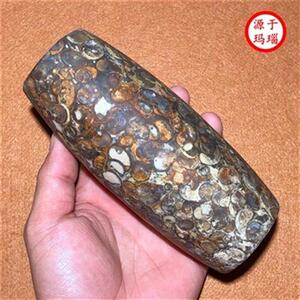 新西藏天然至纯法螺天珠勒子老矿海螺化石特大法v螺摆件手把件品