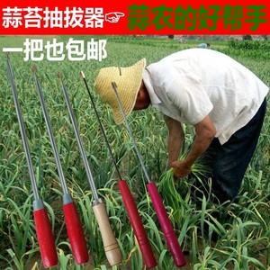 抽蒜苔神器 手工抽蒜苔神器6月抽蒜薹机拨蒜苔神器收割蒜苔神器