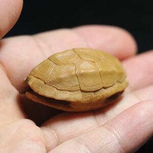 僯夼古玩文玩 瀚兮纯手工橄榄核雕/富甲天下/富甲一方/龟壳/动物
