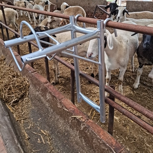 剪羊毛固定架羊固定架羊头架子羊输液架c用固定架羊用架子a修蹄架