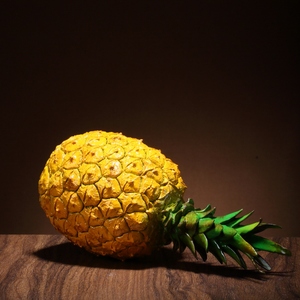 菠萝仿生设计图片