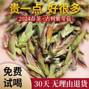 2024新茶早春野生古树紫芽苞茶云南普洱茶生茶大雪山紫芽孢茶散茶