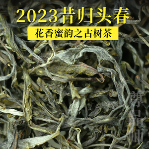2023新茶云南昔归普洱生茶散茶古树茶头春纯料普洱茶特级茶叶500g