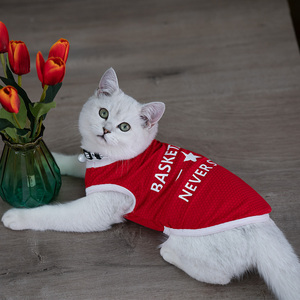 猫咪衣服ins夏季猫衣服薄款防掉毛布偶猫小猫咪幼猫夏天猫猫衣服