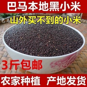 广西巴马特产黑小米500g新米杂粮五谷非红小米