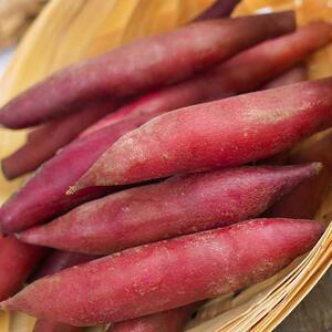 【拇指薯】天目山小香薯迷你小红薯金手指薯地瓜现挖现发
